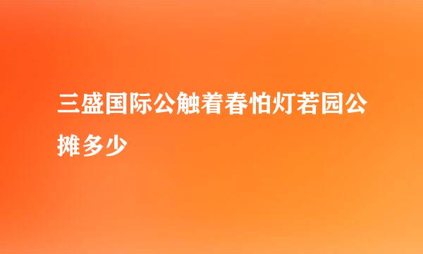 三盛国际公触着春怕灯若园公摊多少