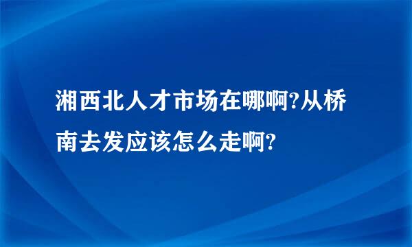 湘西北人才市场在哪啊?从桥南去发应该怎么走啊?