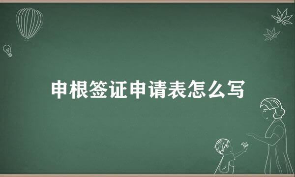 申根签证申请表怎么写