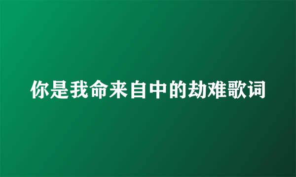 你是我命来自中的劫难歌词