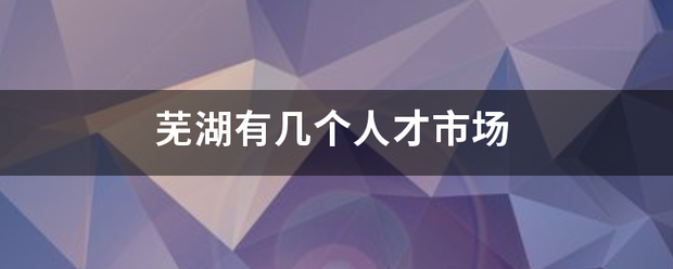 芜湖有几个人才市场