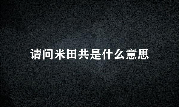 请问米田共是什么意思