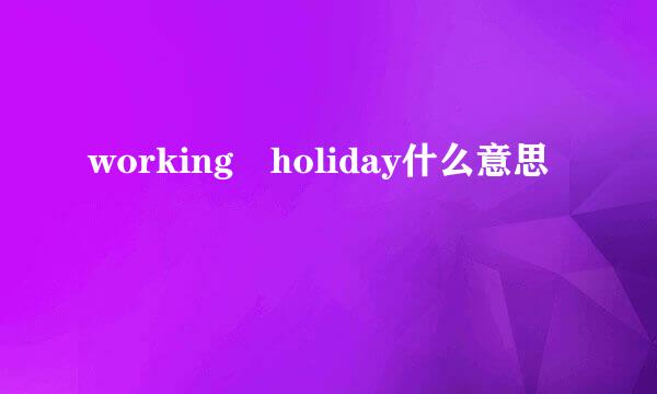 working holiday什么意思