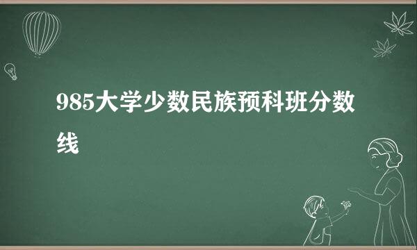 985大学少数民族预科班分数线