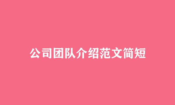 公司团队介绍范文简短