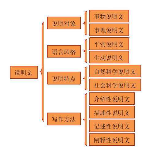 说明文的分类