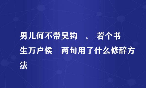 男儿何不带吴钩 , 若个书生万户侯 两句用了什么修辞方法