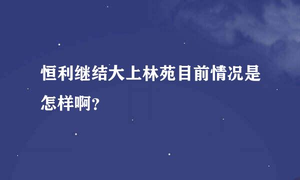 恒利继结大上林苑目前情况是怎样啊？