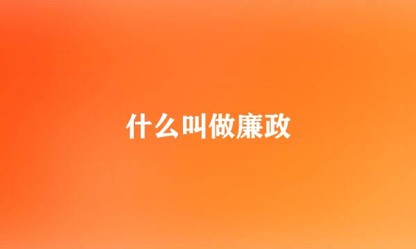 什么叫做廉政