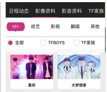 TFBOYS官网的高级会员多少钱一年？