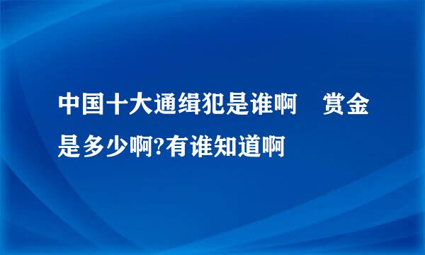 中国十大通缉犯是谁啊 赏金是多少啊?有谁知道啊