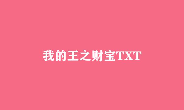 我的王之财宝TXT