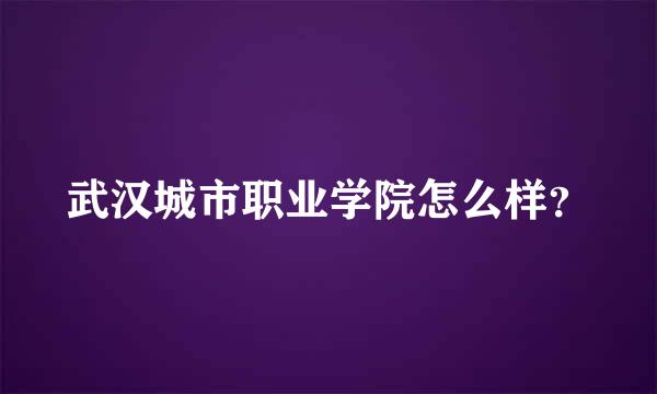 武汉城市职业学院怎么样？