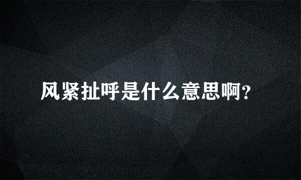 风紧扯呼是什么意思啊？