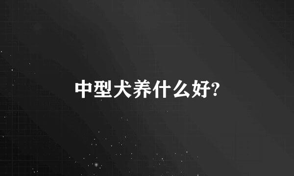 中型犬养什么好?