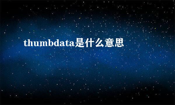 thumbdata是什么意思