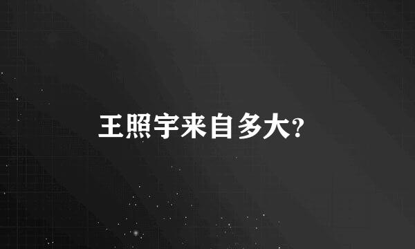 王照宇来自多大？