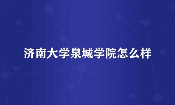 济南大学泉城学院怎么样