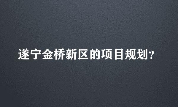 遂宁金桥新区的项目规划？