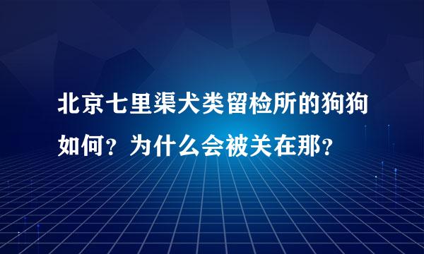 北京七里渠犬类留检所的狗狗如何？为什么会被关在那？