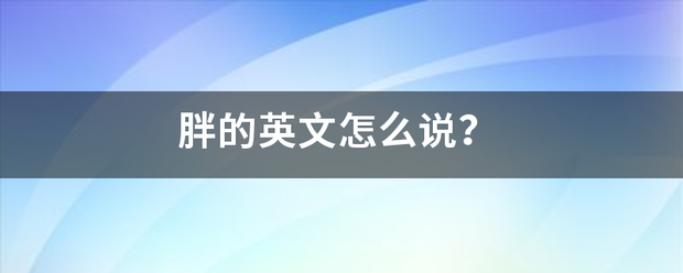 胖的英文怎么说？