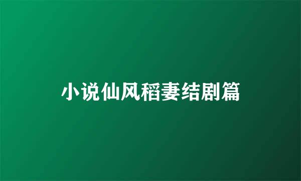 小说仙风稻妻结剧篇