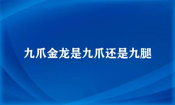 九爪金龙是九爪还是九腿