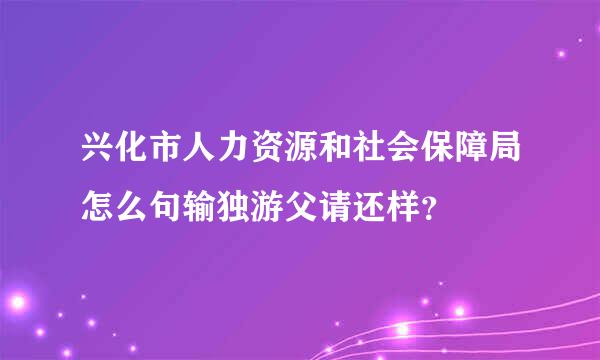 兴化市人力资源和社会保障局怎么句输独游父请还样？