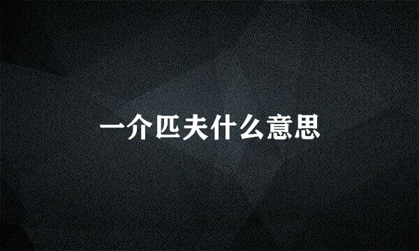 一介匹夫什么意思