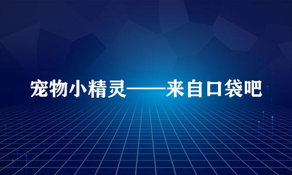 宠物小精灵——来自口袋吧