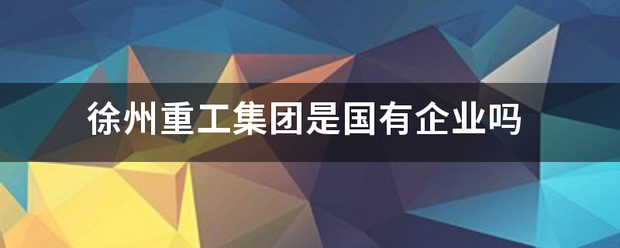 徐州重工集团是国有企业吗