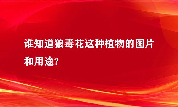 谁知道狼毒花这种植物的图片和用途?