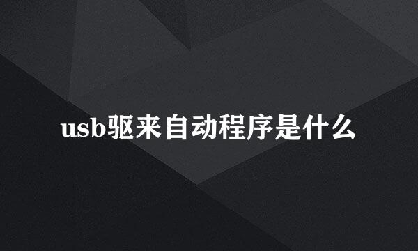 usb驱来自动程序是什么