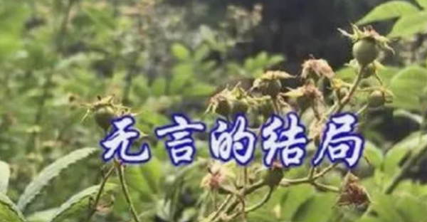 无言的结局