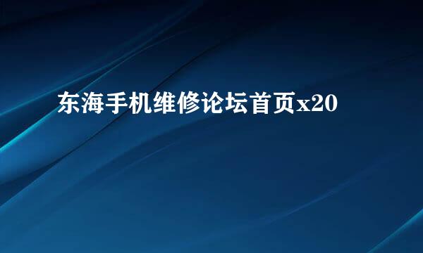 东海手机维修论坛首页x20