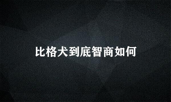 比格犬到底智商如何