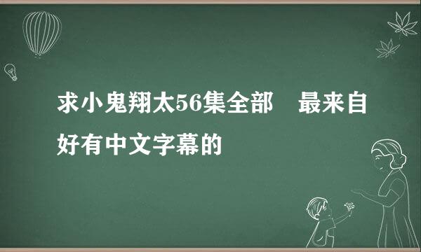 求小鬼翔太56集全部 最来自好有中文字幕的