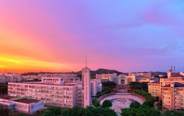 湛江开放大学是什么学校