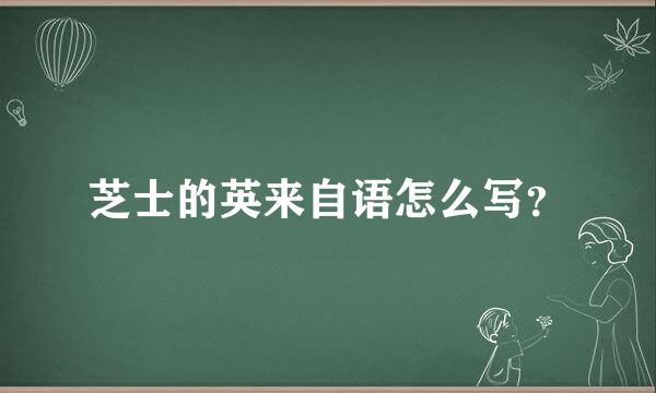 芝士的英来自语怎么写？