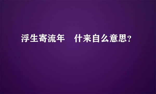 浮生寄流年 什来自么意思？