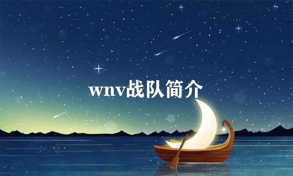 wnv战队简介