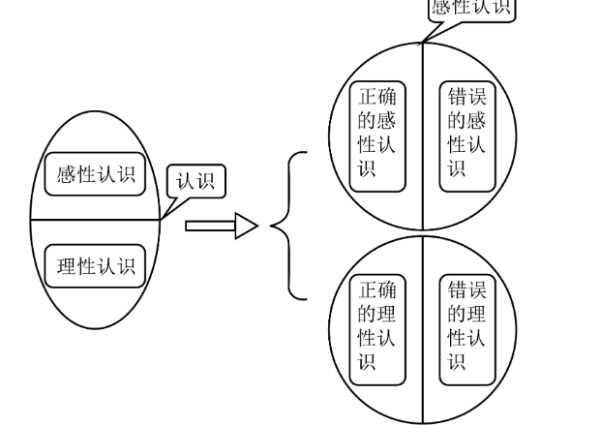 理性认识的三种形式是什么？