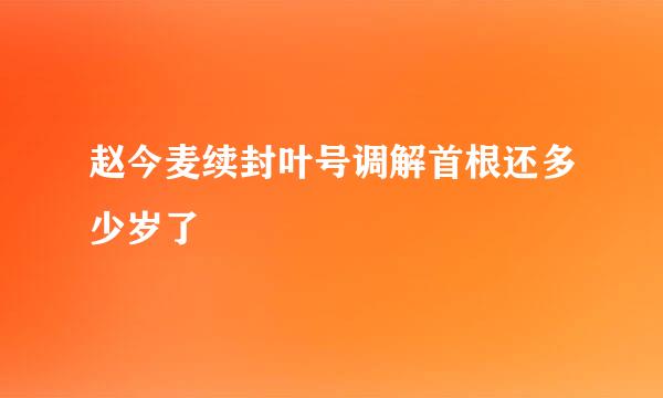 赵今麦续封叶号调解首根还多少岁了