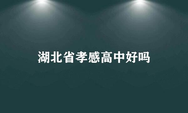 湖北省孝感高中好吗