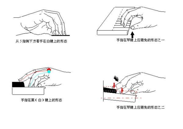 弹钢琴的正斤对乡庆确手型到底是什么含亮书务