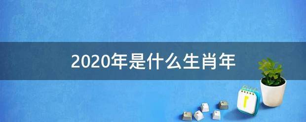 2020年是什么生肖年