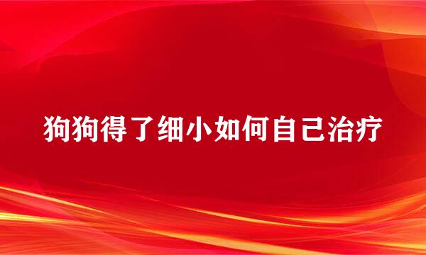 狗狗得了细小如何自己治疗