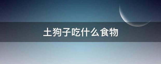 土狗子吃什么食物