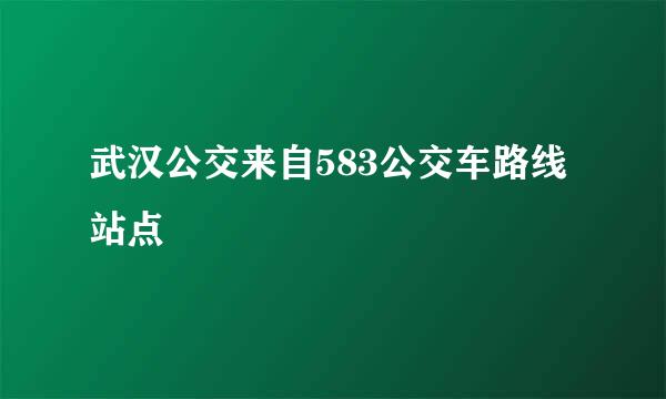 武汉公交来自583公交车路线站点