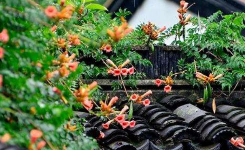 上海梅雨季节是什么时候